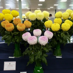 013 johnson perpetual challenge trophy  graham bradley