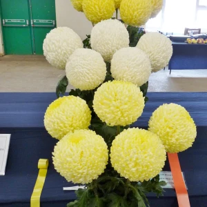 017 sid payne trophy  eric shepley