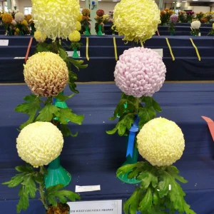 003 nwc trophy  west sussex