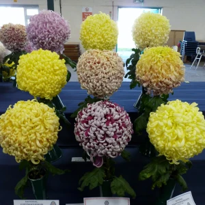 007 keith luxford callenge cup  andy wickham