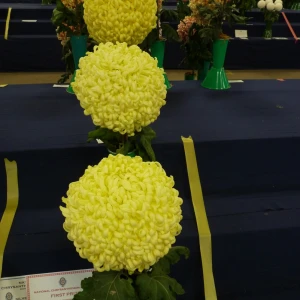 009 richardson challenge cup  john williams