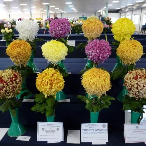 011 w h jarratt trophy  john nevill