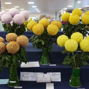 017 national champion decoratives  george prickett challenge trophy  bil croft