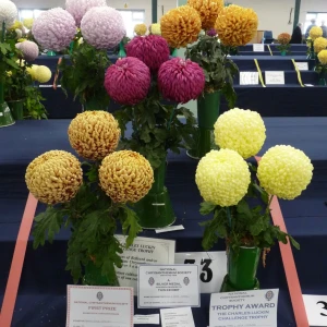 018 charles luckin challenge trophy  frankie and joyce charlton