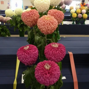 020 bill holland trophy  kevin hubery