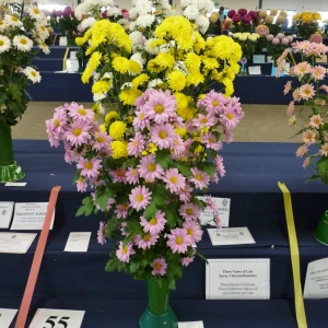 027 eileen barclay trophy  roger and jackie frith