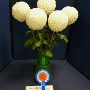 041 best medium intermediate  rita fox  ivor mace