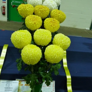 023 tom jones piece of plate  alan smith