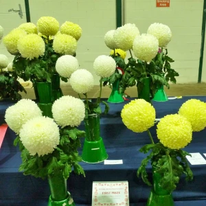 025 h hatton memorial jug  kevan godwin