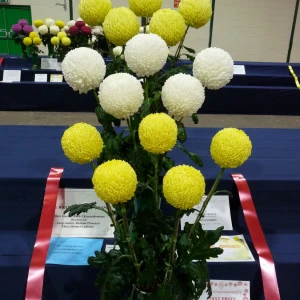 028 western group trophy  tony walters