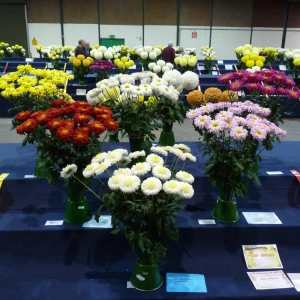 030 george barker trophy  john ellis evans