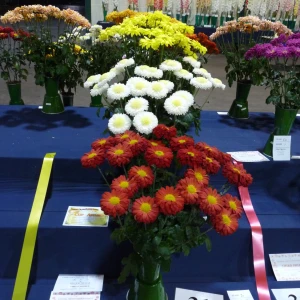 031 corby society trophy  john ellis evans