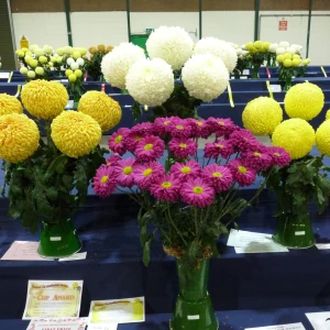 032 individual championship  ken cooper tropohy  john and allyson peace