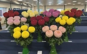 003 medium challenge cup   clay cup   bentley trophy   jim vickerman