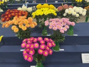 008 george barker trophy john jozefow