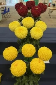 014 medium challenge cupnd andy wickham