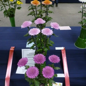 051 anniversary challenge trophy  brian pople