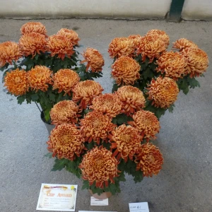 054 sylvia and martyn silver salver  benji ricketts