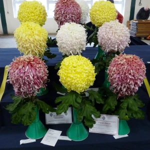 005 keith luxford challenge cup   john williams