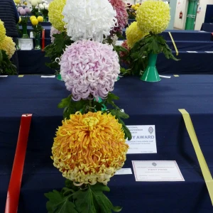 007 richardson challenge cup   howard minns