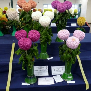 018 charles luckin trophy  kevin hubery