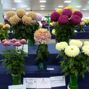 029 individual championship  harry johnson trophy  john marshall