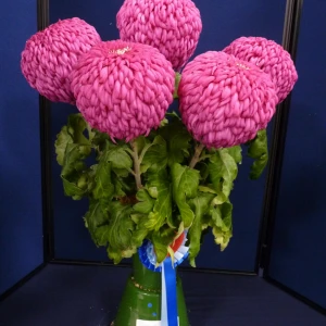 045 best vase medium reflex  kevin hubery